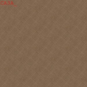 CA3A