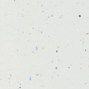 F010