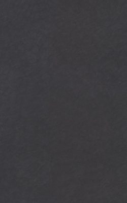 G082