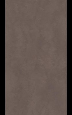 T085