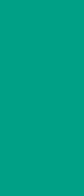 V107